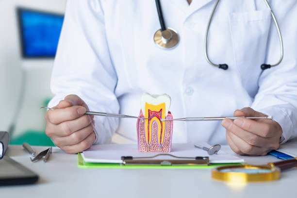 Best Emergency Tooth Extraction  in Ocala Estates, FL